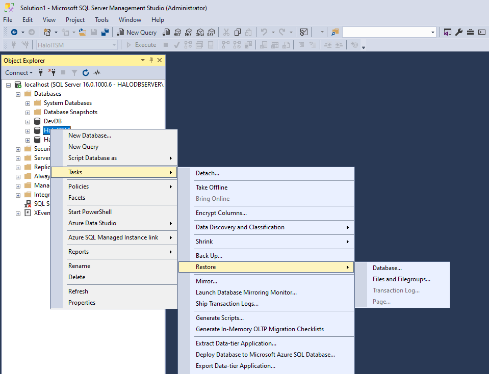 Image of MS SSMS showing the path to restore a database