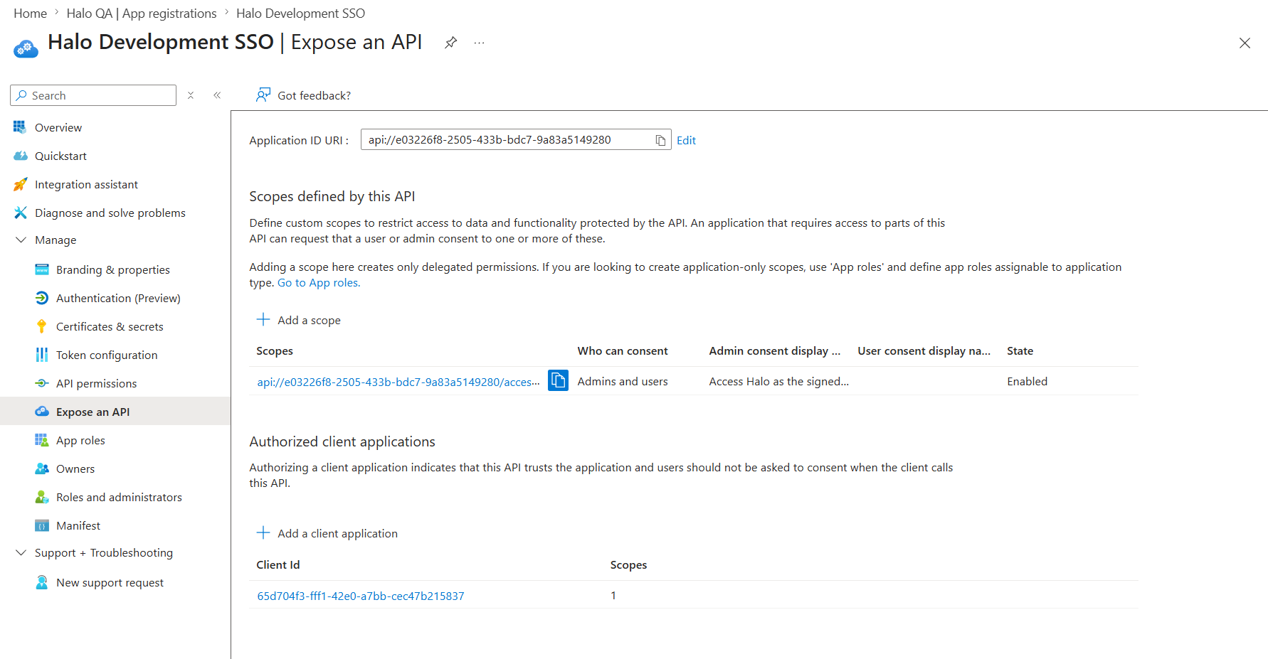 Entra ID Expose an API